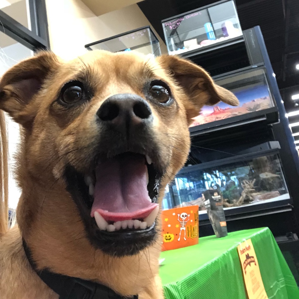 Meet your Posher, Becca